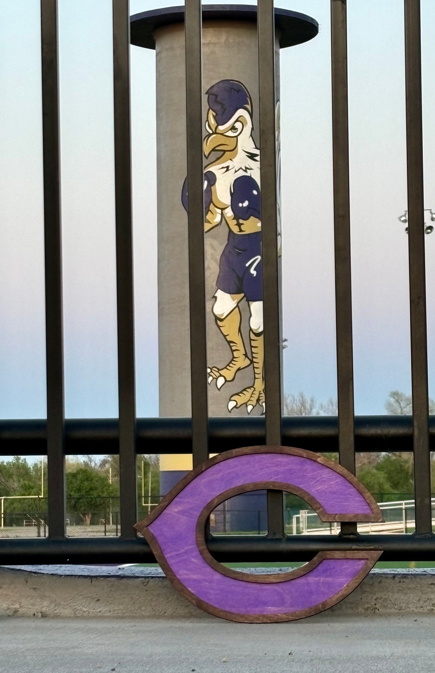 Fightin’ Chick “C” Wood Sign